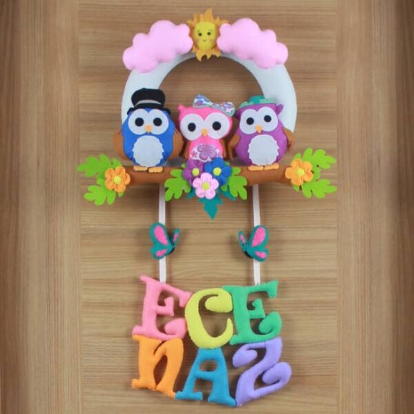Ece Naz isimli baykuş kız bebek çocuk ve hastane odası kapı süsü