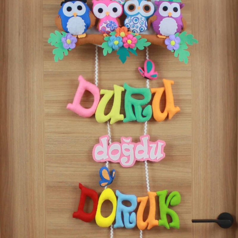 Duru ve doruk isimli baykuş ailesi kardeş bebek çocuk ve hastane odası keçe kapı süsü