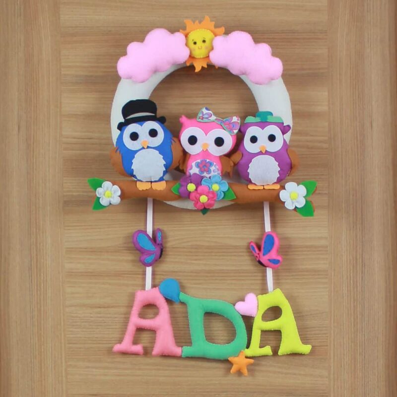 Ada İsimli Baykuş Figürlü Kız Bebek ve Hastane Odası Kapı Süsü