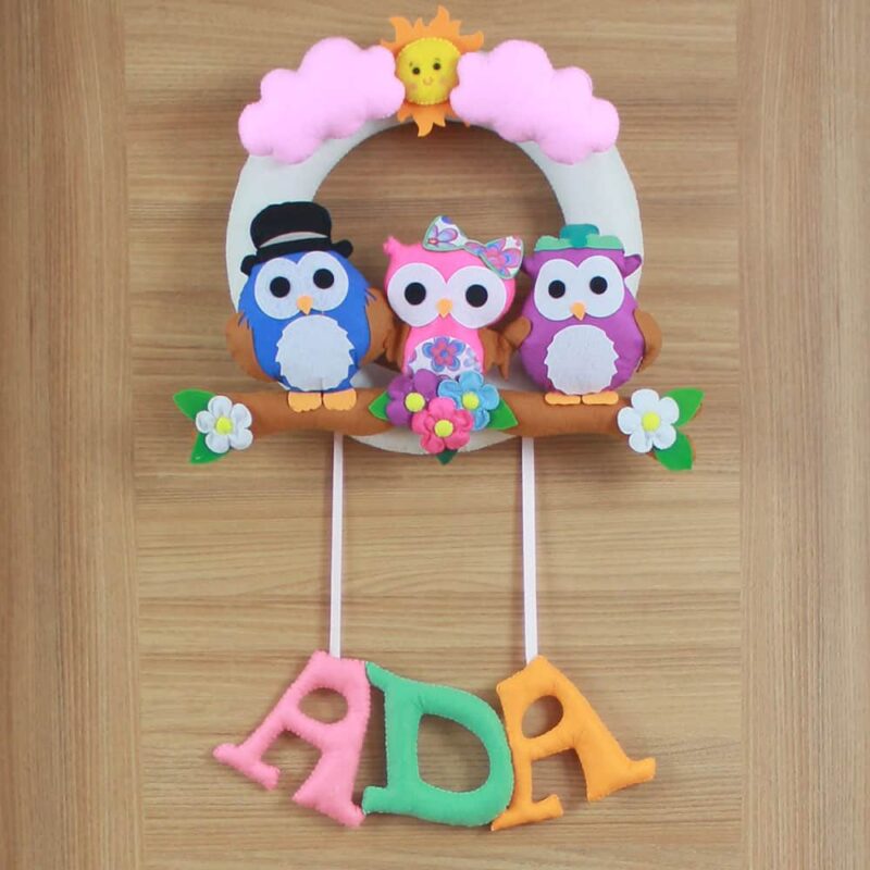 Ada İsimli Baykuş Kız Bebek ve Hastane Odası Kapı Süsü