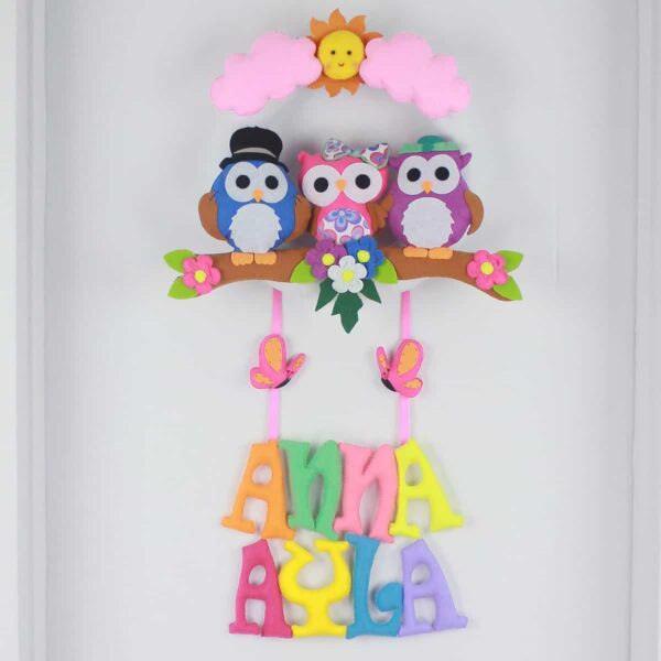 Anna Ayla isimli Baykuş Bebek ve Hastane Odası Kapı Süsü