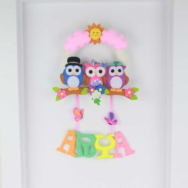 Arya isimli Baykuş Kız Bebek ve Hastane Odası Kapı Süsü