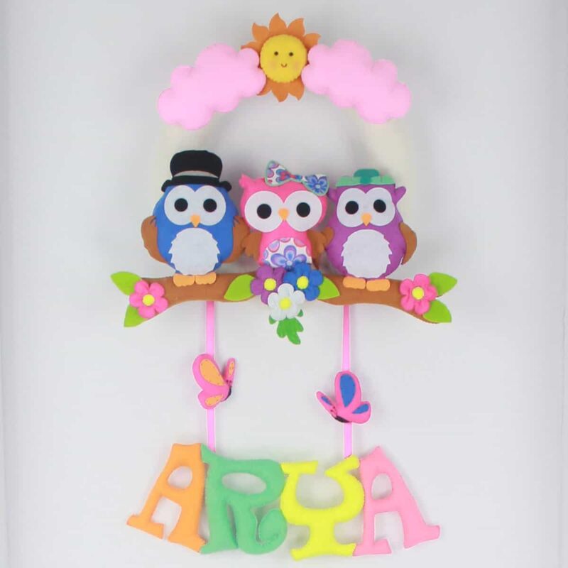 Arya isimli Baykuş Kız Bebek ve Hastane Odası Kapı Süsü