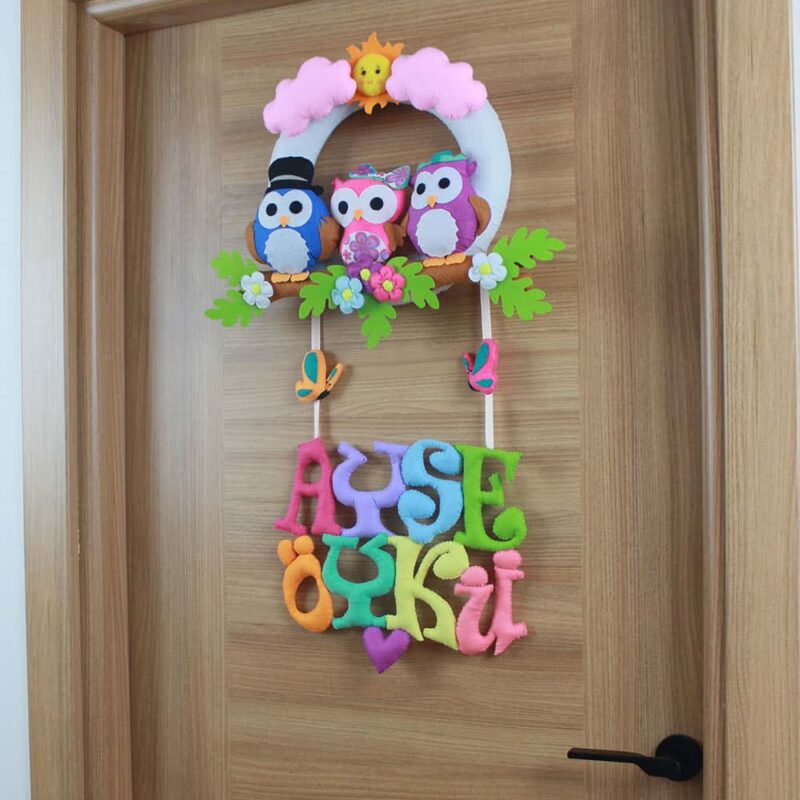 Ayşe Öykü isimli Baykuş Bebek ve Hastane Odası Kapı Süsü