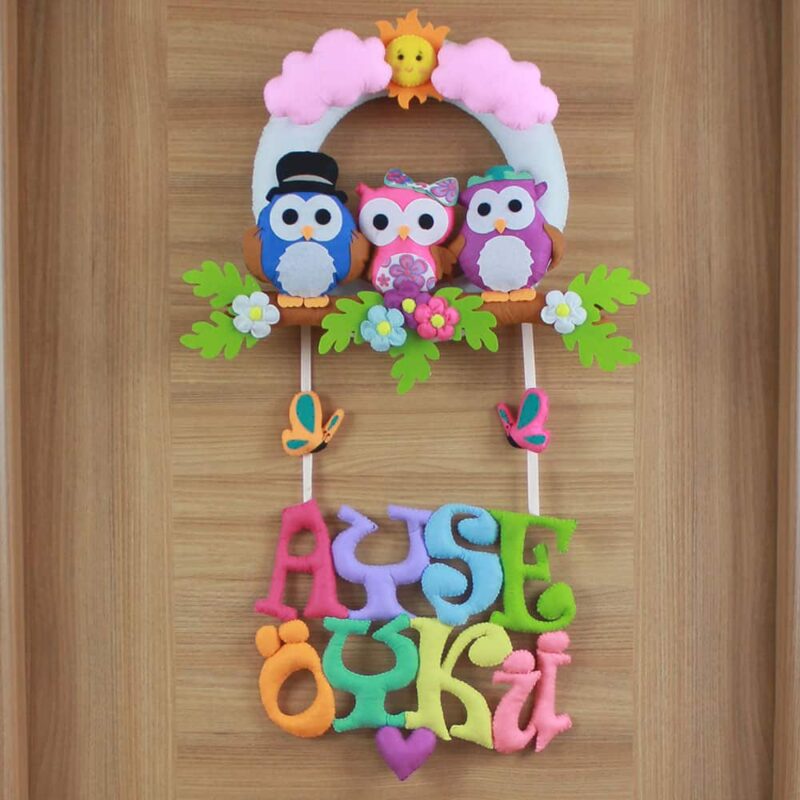Ayşe Öykü isimli Baykuş Bebek ve Hastane Odası Kapı Süsü