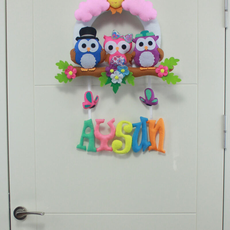 Aysun isimli Baykuş Bebek ve Hastane Odası Kapı Süsü