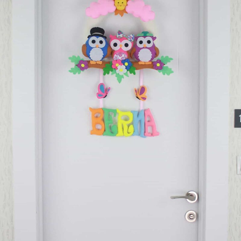 Berna isimli Baykuş Bebek ve Hastane Odası Kapı Süsü