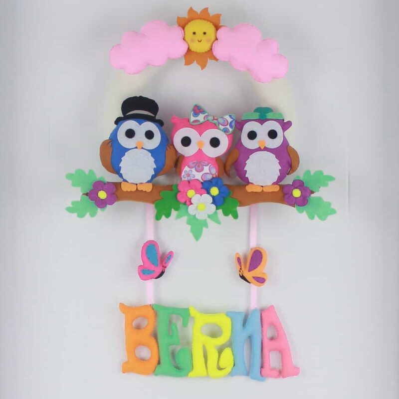 Berna isimli Baykuş Bebek ve Hastane Odası Kapı Süsü