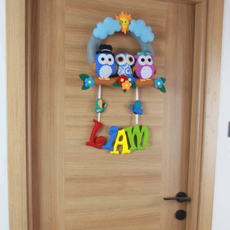 Liam isimli Baykuş Bebek Kapı Süsü
