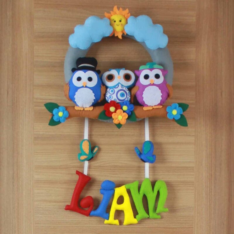 Liam isimli Baykuş Bebek Kapı Süsü
