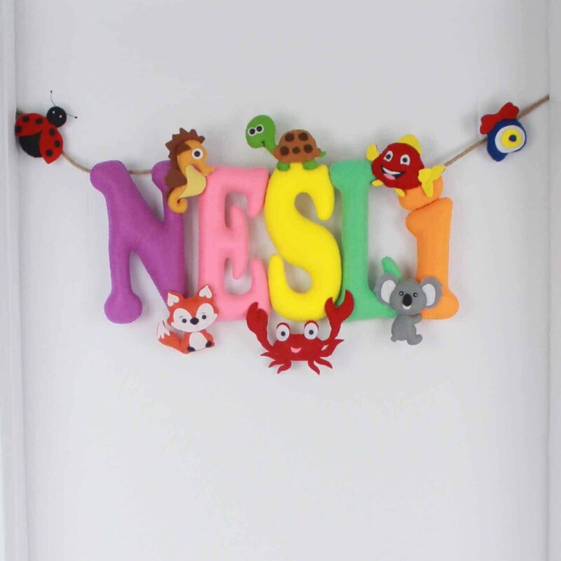 Nesli isimli Hastane Bebek Kapı Süsü