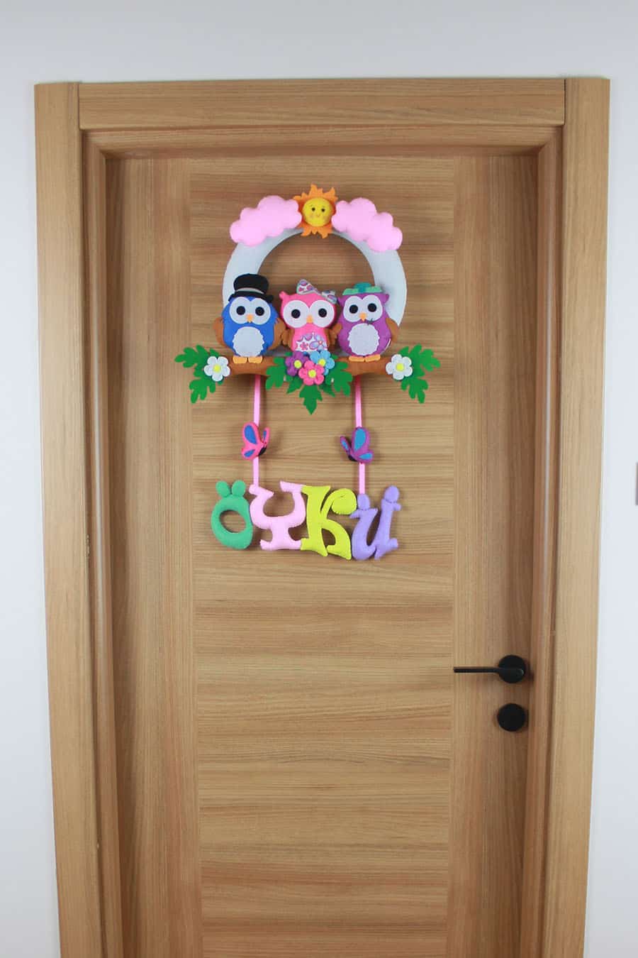 Öykü isimli Baykuş Hastane Bebek Kapı Süsü